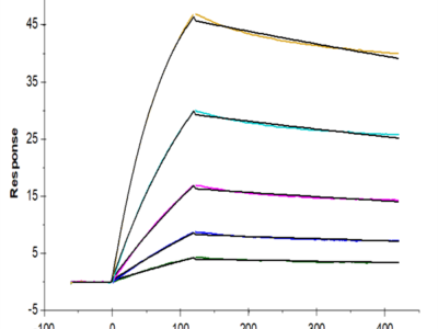 Human ACE2/ACEH Protein (ACE-HM401)