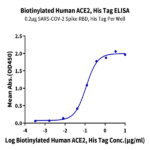 Biotinylated Human ACE2/ACEH Protein (ACE-HM401B)