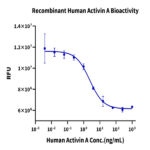 Human Activin A Protein (ACV-HM001)