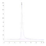 Cynomolgus Adiponectin/Acrp30 Protein (ADI-CM101)