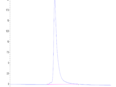 Cynomolgus Adiponectin/Acrp30 Protein (ADI-CM101)