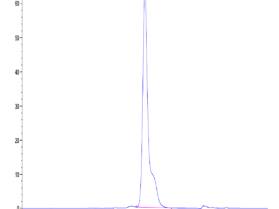 Mouse Adiponectin/Acrp30 Protein (ADI-MM101)