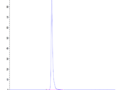 Mouse Adiponectin/Acrp30 Protein (ADI-MM201)