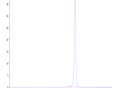 Cynomolgus ADAM9 Protein (ADM-CM109)