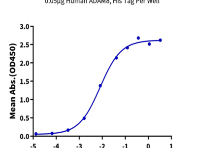 Human ADAM8 Protein (ADM-HM108)
