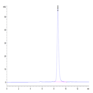Human ADAM8 Protein (ADM-HM108)
