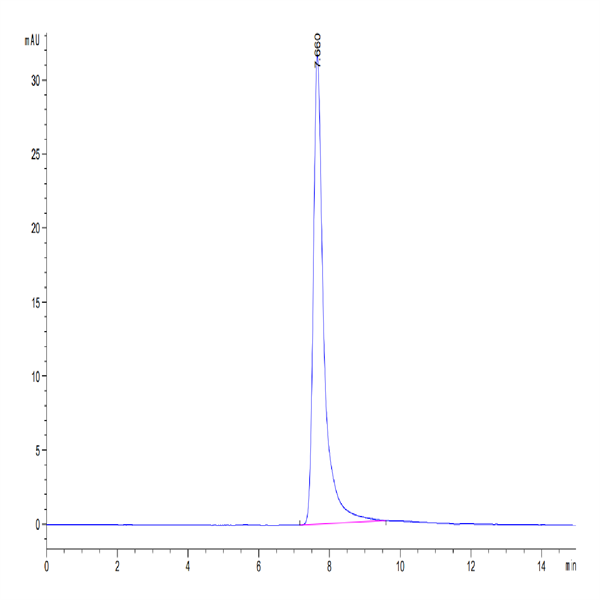 Human AREG Protein (AEG-HM201)