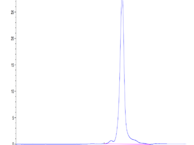 Human AGER Protein (AER-HM101)