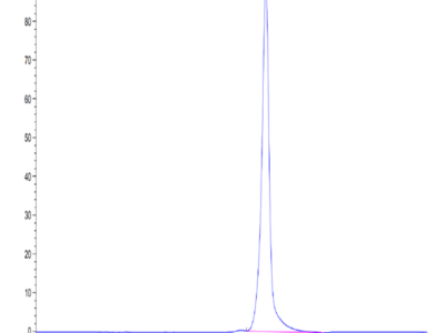 Mouse AGER Protein (AER-MM101)