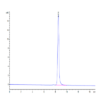 Cynomolgus AFP Protein (AFP-CM101)