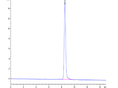 Cynomolgus AFP Protein (AFP-CM101)