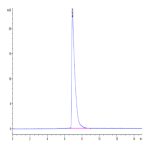 Cynomolgus ALCAM/CD166 Protein (ALC-CM101)