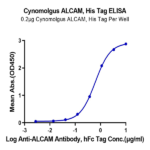 Cynomolgus ALCAM/CD166 Protein (ALC-CM101)