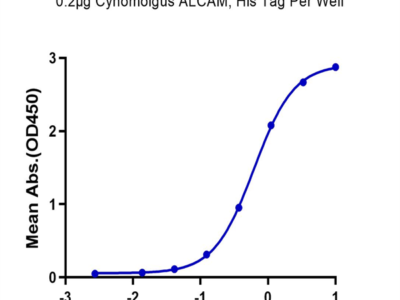 Cynomolgus ALCAM/CD166 Protein (ALC-CM101)