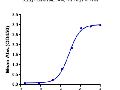 Human ALCAM/CD166 Protein (ALC-HM101)