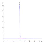 Human ALCAM/CD166 Protein (ALC-HM101)
