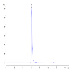Human ALCAM/CD166 Protein (ALC-HM101)