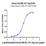 Human ALCAM/CD166 Protein (ALC-HM201)