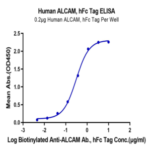 Human ALCAM/CD166 Protein (ALC-HM201)