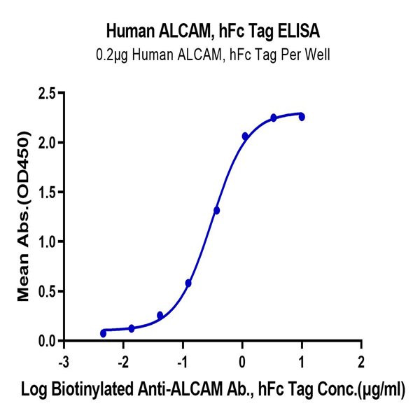 Human ALCAM/CD166 Protein (ALC-HM201)