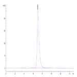 Biotinylated Human ALCAM/CD166 Protein (ALC-HM401B)