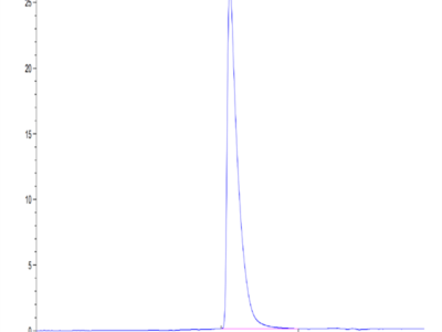 Mouse ALCAM/CD166 Protein (ALC-MM101)