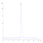 Biotinylated Mouse ALCAM/CD166 Protein (ALC-MM401B)