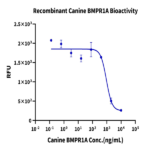 Canine BMPR1A/ALK-3 Protein (ALK-DM201)