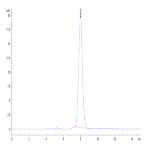 Canine BMPR1A/ALK-3 Protein (ALK-DM201)