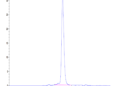 Human ALK-1/ACVRL1 Protein (ALK-HM101)