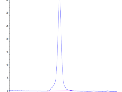 Mouse ALK Protein (ALK-MM201)