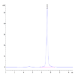 Mouse AMCase/CHIA Protein (AMC-MM101)