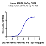 Human AMHRII Protein (AMH-HM0R2)