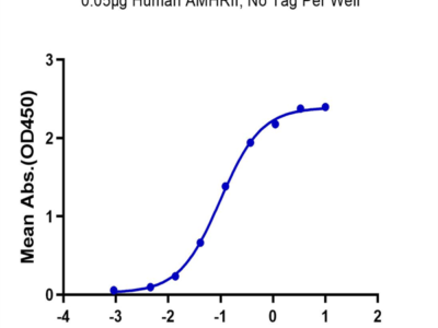 Human AMHRII Protein (AMH-HM0R2)