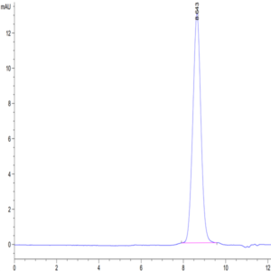 Human AMHRII Protein (AMH-HM0R2)