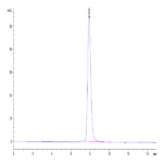 Human AMHRII Protein (AMH-HM2R2)