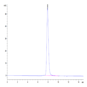 Human AMHRII Protein (AMH-HM2R2)