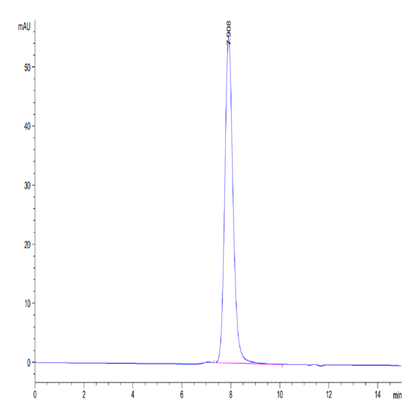 Human AMHRII Protein (AMH-HM2R2)
