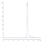 Cynomolgus ANGPTL4/Angiopoietin-like 4 Protein (ANG-CM1L4)