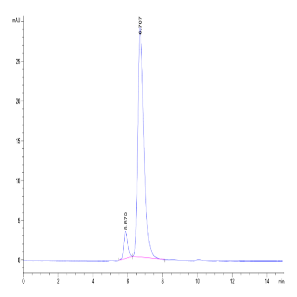 Human ANGPTL3/Angiopoietin-like 3 Protein (ANG-HM103)