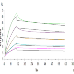 Human ANGPTL4/Angiopoietin-like 4 Protein (ANG-HM1L4)