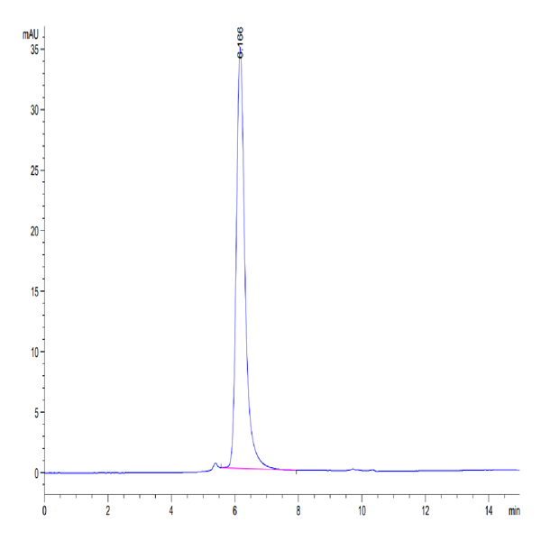 Human ANGPTL4/Angiopoietin-like 4 Protein (ANG-HM1L4)