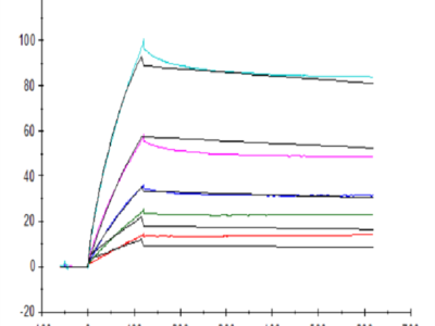 Human ANGPTL3/Angiopoietin-like 3 Protein (ANG-HM403)