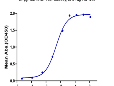 Biotinylated Human ANGPTL3/Angiopoietin-like 3 Protein (ANG-HM403B)