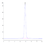 Human ANGPTL2/Angiopoietin-like 2 Protein (ANG-HM4L2)