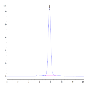 Human ANGPTL2/Angiopoietin-like 2 Protein (ANG-HM4L2)