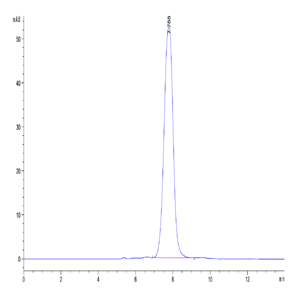 Human ANGPTL2/Angiopoietin-like 2 Protein (ANG-HM4L2)