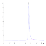 Mouse ANGPTL4/Angiopoietin-like 4 Protein (ANG-MM104)