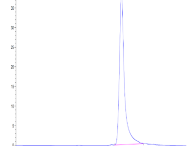 Mouse ANGPTL4/Angiopoietin-like 4 Protein (ANG-MM104)