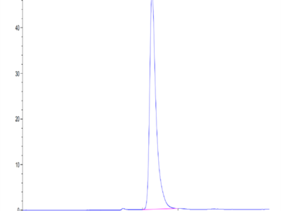 Human CD13/ANPEP Protein (ANP-HM101)